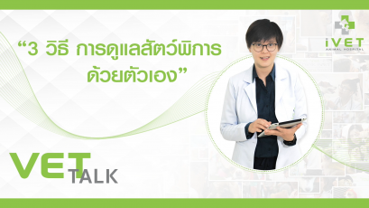 3 วิธีการดูแลสัตว์พิการที่บ้านด้วยตนเอง